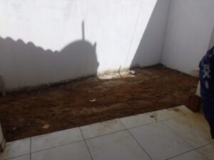 IMG-20250411-WA0005