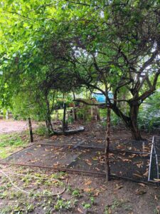 IMG-20250414-WA0031