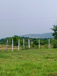 IMG-20250414-WA0032