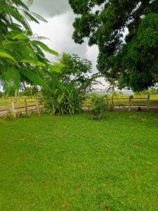 IMG-20250414-WA0033