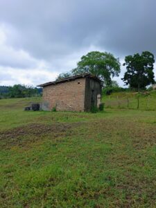 IMG-20250414-WA0036