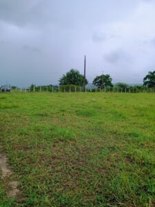 IMG-20250414-WA0037