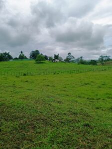 IMG-20250414-WA0039