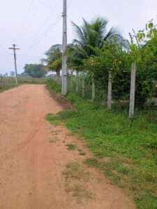 IMG-20250414-WA0045