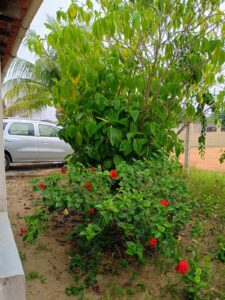 IMG-20250414-WA0047