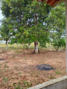 IMG-20250414-WA0051