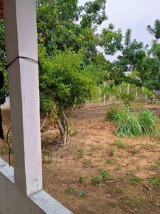 IMG-20250414-WA0055