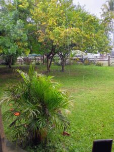 IMG-20250414-WA0056