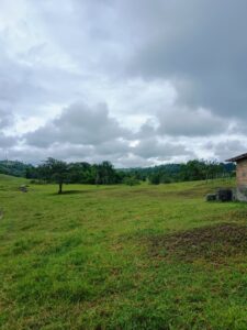 IMG-20250414-WA0064