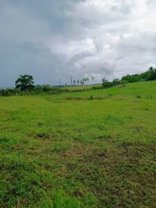 IMG-20250414-WA0067