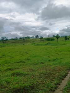 IMG-20250414-WA0069