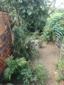 IMG-20250326-WA0019