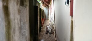 IMG_20250424_102632756