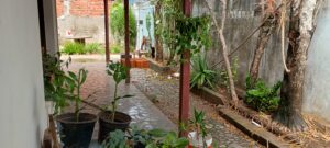 IMG_20250424_102641805_HDR