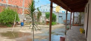 IMG_20250424_105441214_HDR