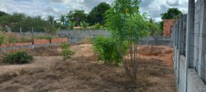 IMG_20250425_113453019_HDR