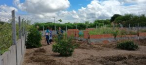 IMG_20250425_113458144