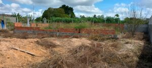 IMG_20250425_113607965_HDR