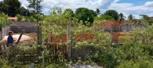 IMG_20250425_113902892_HDR