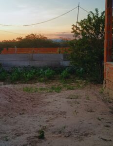 Subscription and Ads - Right Side (92)_20250701_190636_0133