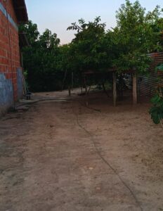 Subscription and Ads - Right Side (93)_20250701_190636_0134