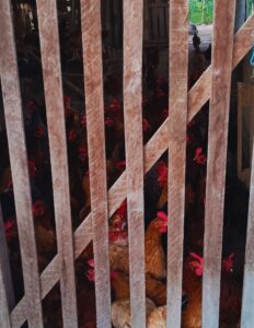 Subscription and Ads - Right Side (97)_20250701_190637_0138