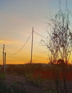 Subscription and Ads - Right Side (99)_20250701_190637_0140