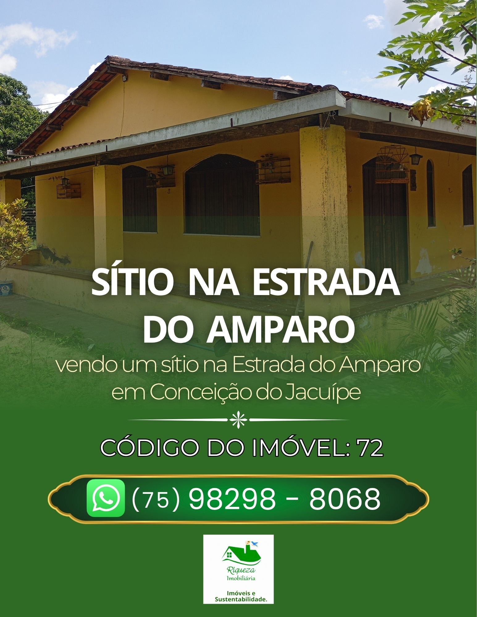 C72. SÍTIO NA ESTRADA DO AMPARO EM CONCEIÇÃO DO JACUÍPE