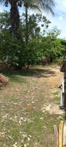 IMG_20251220_122523594_HDR