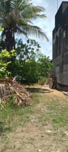 .trashed-1770770356-IMG_20251220_122616451_HDR