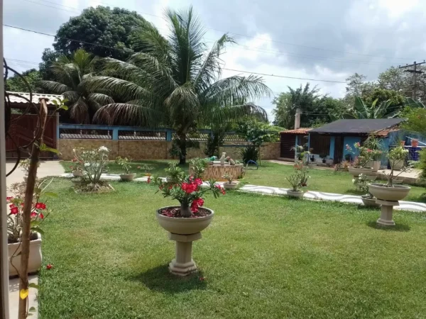 IMG_20250305_230713_310