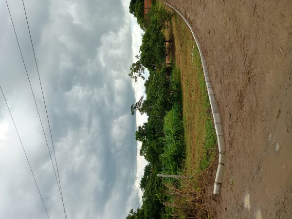 IMG_20260421_104106190