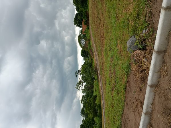IMG_20260421_104145154