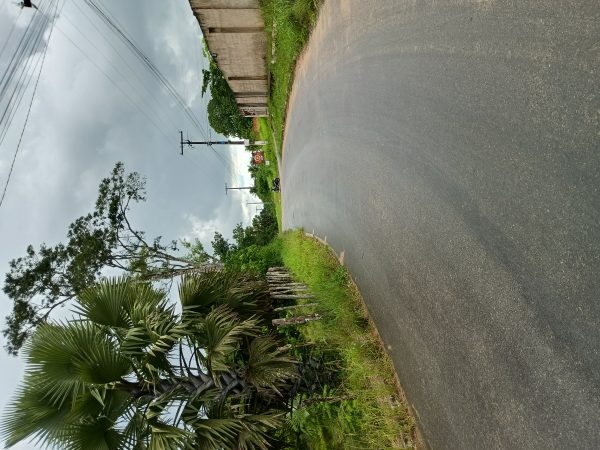 IMG_20260421_104547263_HDR